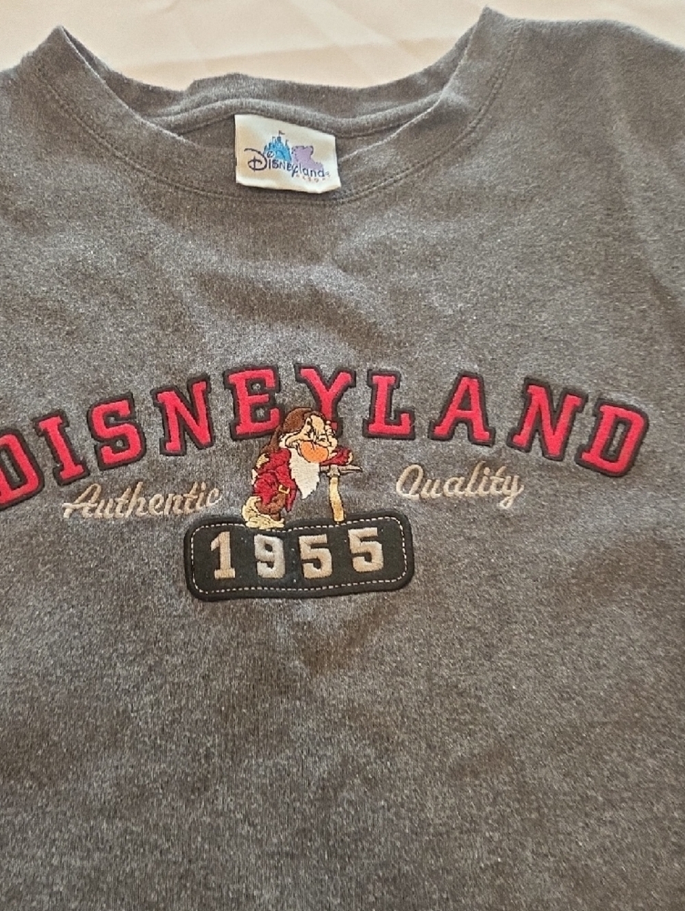 Disney Gray Disneyland 1955 Embroidered Sweatshirt - Picture 3 of 6